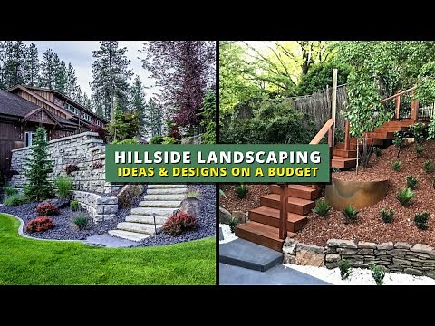 20+ Easy Hillside Landscaping Ideas & Designs on a Budget 👌