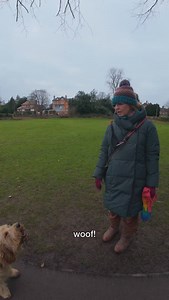 37K views · 1K reactions | Meet Heather, the beautiful Golden Doodle...