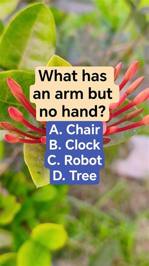 What has an arm but no hand?