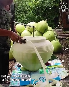 11K views · 15 reactions | Discover fruits you might have not heard before | Animal World | Facebook