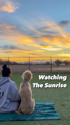 Stephanie Rodriguez on Instagram: "It’s all about the little moments! Watching the sunrise is one of my favorite things to do with the pups in the morning. Typically I share this time with Walter and Helen…but today was Shadows turn 🥰 You will never regret moments like these!"