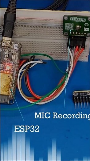 How Clear Is a MEMS Mic? | Sanskrit Voice Test