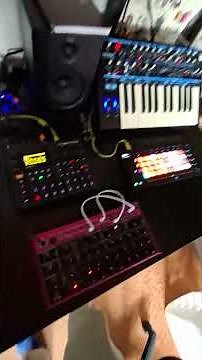 sampling Casio pt-1 #digitakt #techno #electronicmusicsound