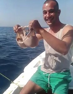 1.8M views · 4.3K reactions | فيديو النهار قولكم من شي حورية؟ 隆‍♀️隆‍♀️隆‍♀️隆‍♀️隆‍♀️隆met | Fishing in Lebanon الصيد البحري في لبنان | Facebook