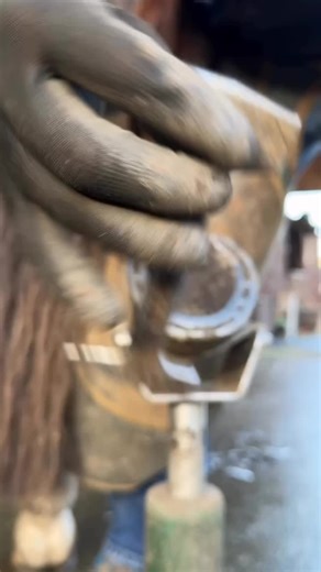 Horse ASMR: Relaxing Sounds of Hoof Care