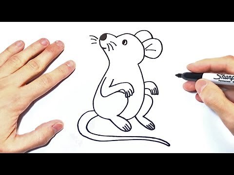 Cómo dibujar un Raton Paso a Paso | Dibujo de Raton
