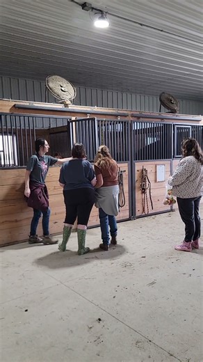 Feeding apples to the horses at the barn