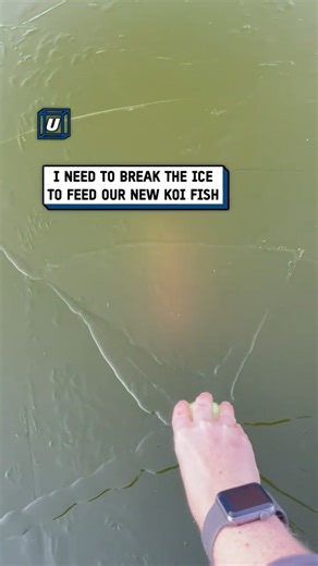 This hack was supposed to stop my pool from freezing over 😅🥶 #hack #pool #fail