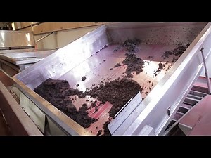 Winemaking process