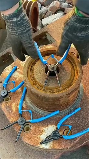 Confronting the Nosy Neighbor: My Experience