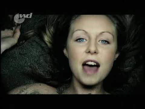 Lost Witness - 7 Colours