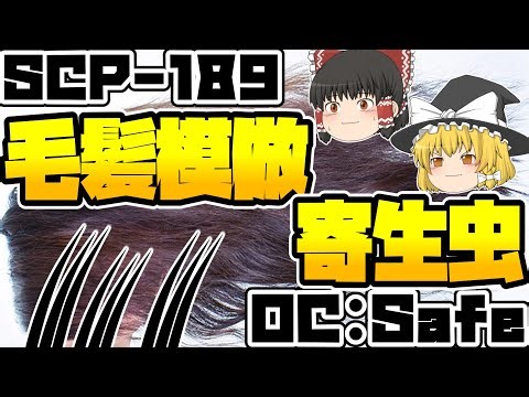 【ゆっくりSCP紹介】実害はない？...【SCP-189 - ときどき解説】