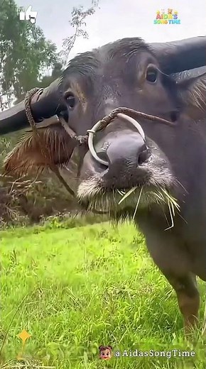 Funny Hilarious Baby Reactions You Can’t WatchingPure Smiles Fun #FunnyBaby #CuteMoments #Shorts