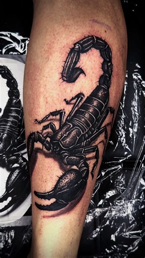 ✖️ Born to survive. Built to sting. 🦂 Black scorpion tattoo. ✖️ #scorpiontattoo #blackworktattoo #tattooslovenia
