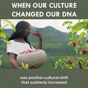 77K views · 1.8K reactions | When Our Culture Changed Our DNA 溺 | Eons • PBS | Facebook