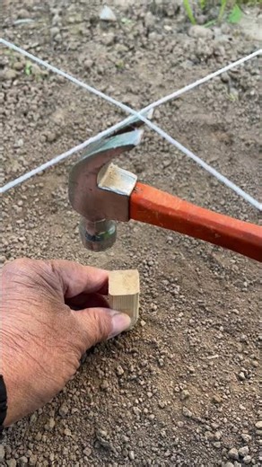 The construction master's line-laying and stake-setting skills!