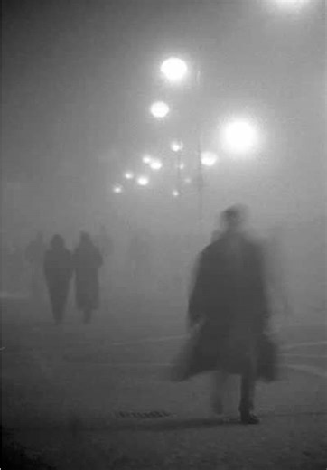 Exploring the Fog: Reflections and Thoughts