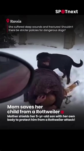 This dog attack is particularly interesting to see, as we can see how a dangerous dog might guard there victim during an incident.