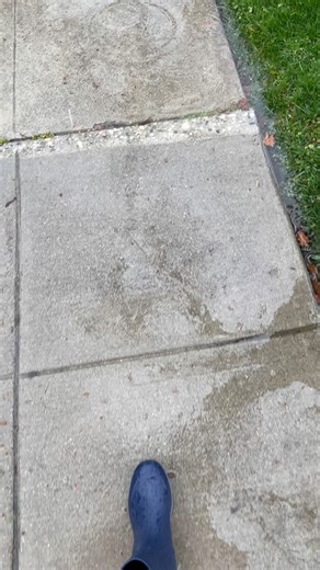 With all this rain coming to SoCal it’s a great time to go look for snails and participate in Snail Search with @nhmla and @natureinla ! 🐌 So put on some rain boots and grab your phone! You can take photos of the snails you find and upload them to the Inaturalist app or send them to the NHMLA team to help you identify and record the species you find! Happy Snail Search! 🔦 | The Snail Hospital