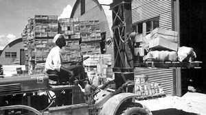 41K views · 654 reactions | 72 years ago this past weekend, the infamous Port Chicago explosions occurred at the Naval Magazine at Port Chicago, Calif. The explosions, which were powerful enough to break windows more than 30 miles away in San Francisco, killed 320 people. In the video below, learn about the issues and history surrounding the disaster. | Naval History & Heritage Command | Facebook