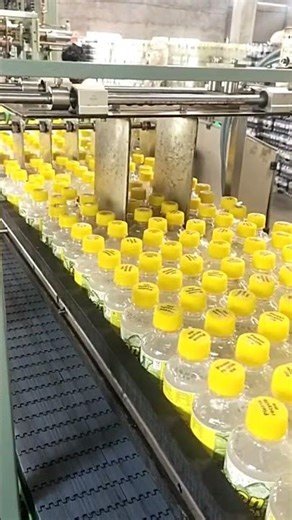 Chain Conveyor for CSD Line