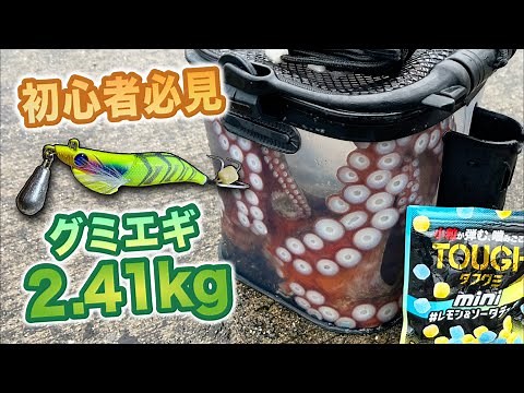 【タコ釣り】初心者にもわかりやすい堤防タコ釣り実釣動画【オクトパッシング】