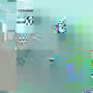 What a CATastrophe 😂🐱 | Mr Bean