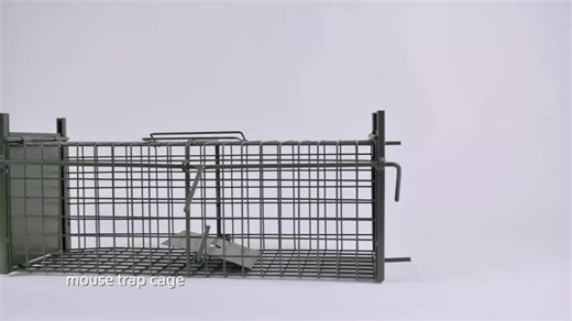Haierc Humane Folding Catch and Release Live Wild Animal Trap Rabbit… | Andi Wang