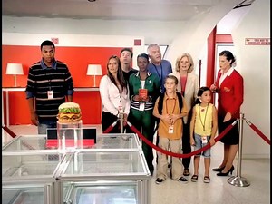 Red Robin - Invisible Wall