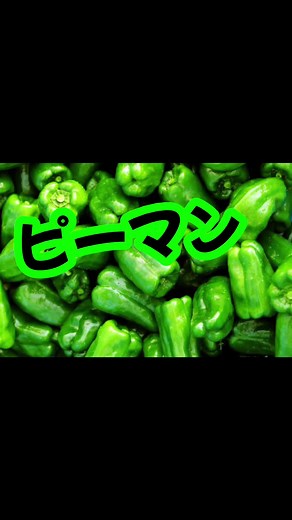 ﾋﾟｰﾏﾝﾋﾟｰﾏﾝﾜｶﾒﾄﾎﾟｯｷｰの歌詞やってみた！下手すぎワロタw#歌詞動画 #替え歌#ピーマンピーマンわかめ味のポッキー #いいね#コメント#おすすめ#フォローお願いします #再投稿