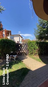 13K views · 127 reactions | Little Giant Conquest™ 2.0 PRO. #Littlegiant #littlegiantladders #ladders #4u #fyp | Teo Priceputul | Facebook