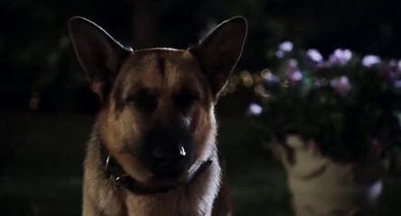 GAZDÁTLANUL MEXIKÓBAN 2. (2011).mp4