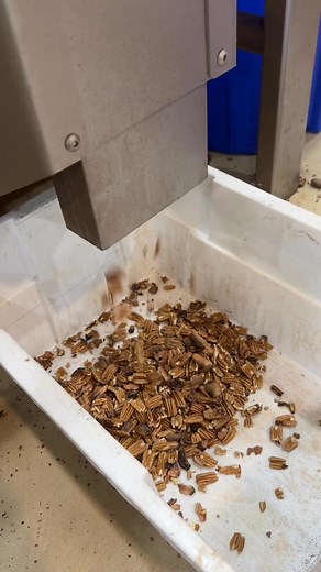 2.3K views · 60 reactions | We’re cracking and shelling some good native pecans for some customers today. Drop off available any time and we will call you when your pecans are done! | Wade Pecans Ringling Ok | Facebook