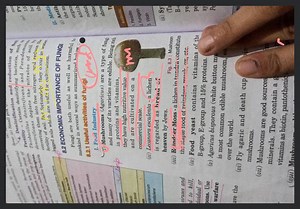 8.2 ECONOMIC IMPORTANCE OF FUNG Fungi are both useful as well a... | Filo