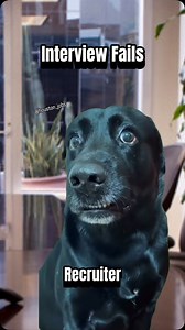 233K views · 21K reactions | The last one…. show me the money!! ⭐️ Houston area jobs shared in stories and highlights #houstonjobs #workhumor #thepawfice #interview #hiring #recruiting #office #jobs #officehumor #hr #fail #funnyvideos #catsofinstagram #dogsofinstagram | Corporate Kitty Kat | Facebook