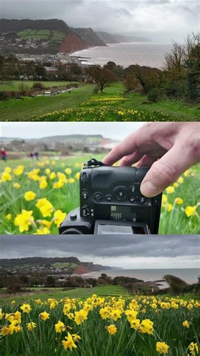 Focus stacking will help ensure the photograph is sharp from front to back.