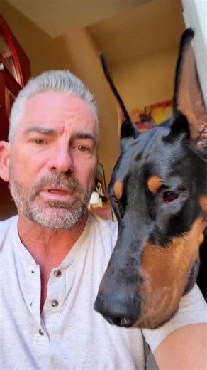 197K views · 16K reactions | The 2024 Ruby and Bruce calendars have arrived!! They are perfect and look even better in person!! I will be packing and shipping out this week! Keep an eye out for your tracking number! #Brucethedoberman #doberman #dobermann #rubydooby_do #dogsofinstagram | Rubydoobydo | Facebook