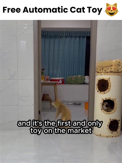 Bored Cat? This interactive water mat keeps them curious, entertained, and comfortable all day long! | Aqua-Cats-USA