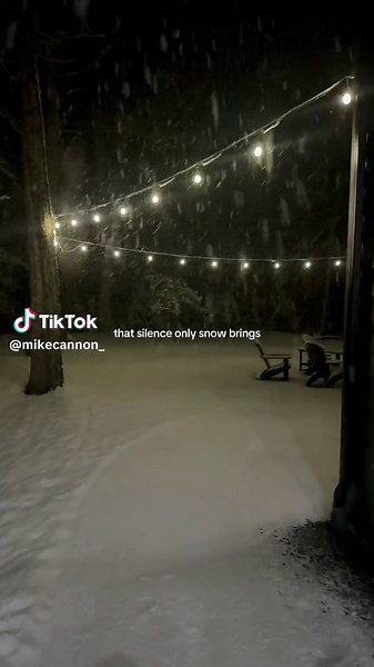 Snow is the most peaceful thing ever #fyp #winter #polarexpress #snow #christmas