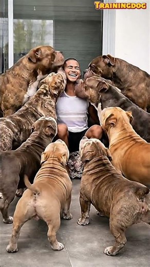 Not Pets… My Children Forever 🐾❤️ #doglove #dog #germanshepherd #puppy #dogshorts