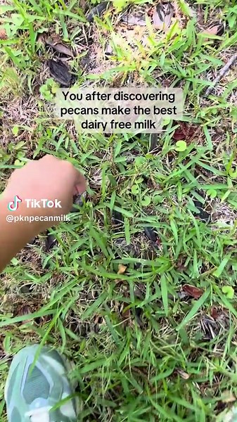 Discover the Delicious Taste of Pecan Milk