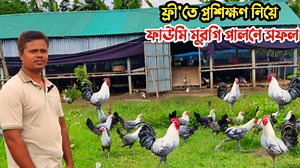 4.9K views · 456 reactions | ফ্রীতে প্রশিক্ষন নিয়ে ফাউমি খামার করে সফল উদ্দোক্তা || প্রাকৃতিক ভাবে ফাউমি মুরগি পালন পদ্ধতি || Nur Bhai #Nurbhai #Hen #Chicken #Murgirkhamar #Fawomi #ফাউমি_মুরগি #ফাউমি | Nur Bhai | Facebook