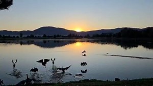 A beautiful sunrise in Reno as the geese take off from the South Meadows Wetlands in this video by Lara. Good Saturday morning to you! We will have sunny skies today with temperatures in the upper 80s and low 90s and the wind will be breezy by the afternoon 10 to 25 mph. Lake Tahoe will enjoy mid to upper 70s this weekend. There’s a slight chance for afternoon thunderstorms mainly north of I-80 up into Oregon and around Mono County in the southern Sierra. Breezy and cooler on Sunday with mid 80s