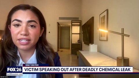 Exclusive: Pemex leak victim's account