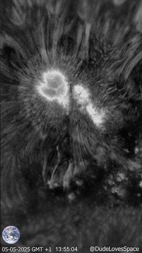 Light Bridges Close Up! Beating Sunspot 4079 Captured From My Backyard #astronomy #space #science