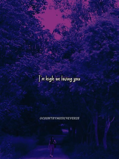 Florida Georgia Line - H.O.L.Y. Song Overview