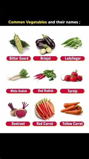Common Vegetables and their names | #theenglishgravity #vegetablesnames #shorts
