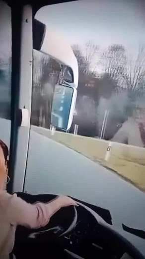 Driver Perspective: Inside a Vehicle Journey