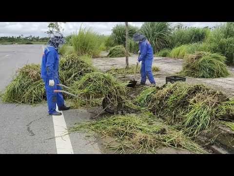 The most beautiful sidewalks are inexplicably neglected? It's a shame about the lack of awareness.