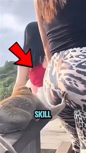 Top 5 Animals With Insane Abilities Scientists Can’t Explain 😱 (The Last One Is Nightmare Fuel)